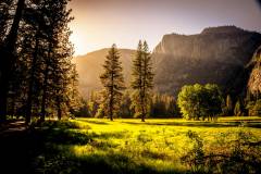 Forest Meadow - FooGallery Sample Image 6